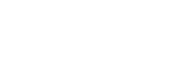 animech white logo